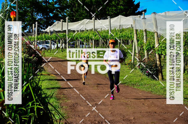 Buy your photos of the eventCIRCUITO DOS VINHEDOS - VINHOS DE ALTITUDE on Fotop