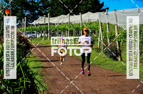 Buy your photos of the eventCIRCUITO DOS VINHEDOS - VINHOS DE ALTITUDE on Fotop