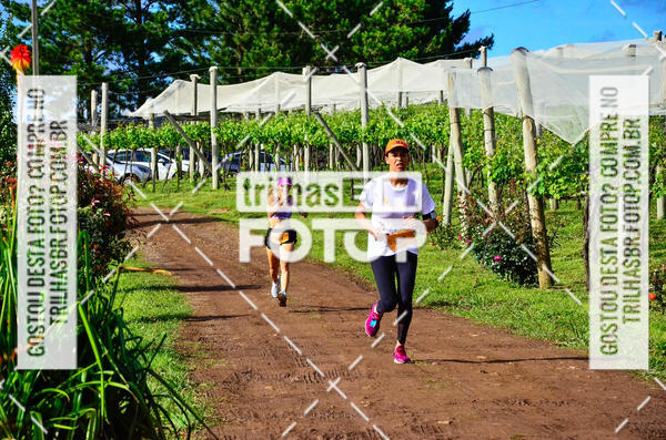 Buy your photos of the eventCIRCUITO DOS VINHEDOS - VINHOS DE ALTITUDE on Fotop