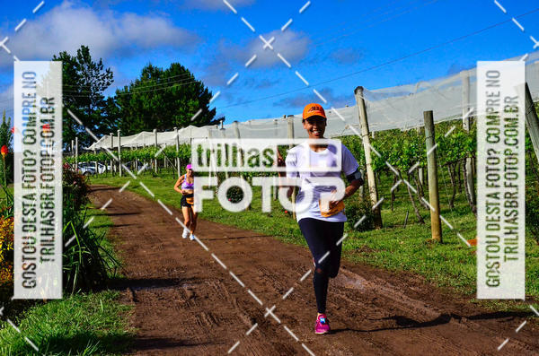 Buy your photos of the eventCIRCUITO DOS VINHEDOS - VINHOS DE ALTITUDE on Fotop