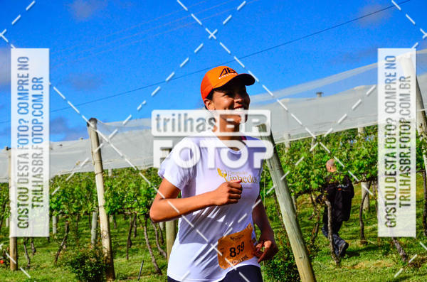 Buy your photos of the eventCIRCUITO DOS VINHEDOS - VINHOS DE ALTITUDE on Fotop