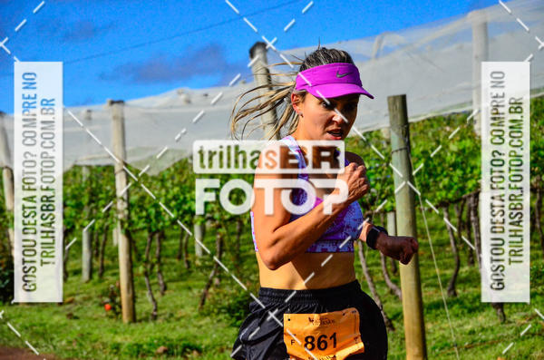 Buy your photos of the eventCIRCUITO DOS VINHEDOS - VINHOS DE ALTITUDE on Fotop