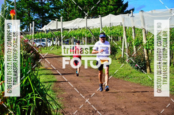 Buy your photos of the eventCIRCUITO DOS VINHEDOS - VINHOS DE ALTITUDE on Fotop