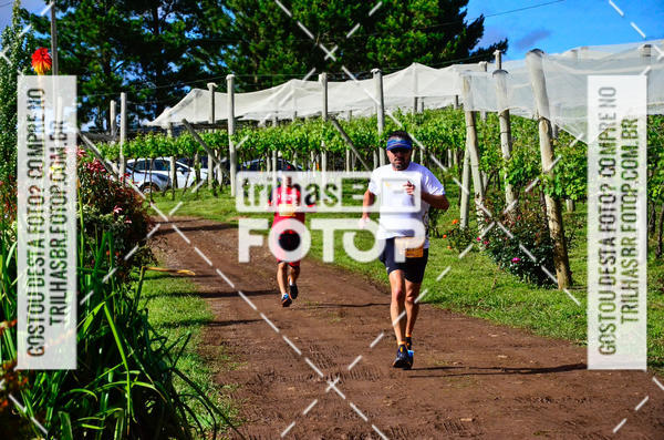 Buy your photos of the eventCIRCUITO DOS VINHEDOS - VINHOS DE ALTITUDE on Fotop