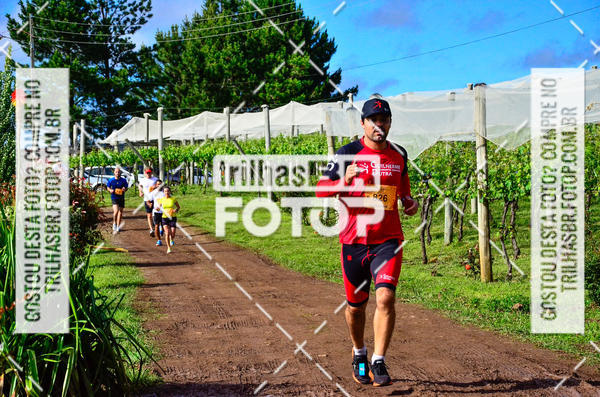 Buy your photos of the eventCIRCUITO DOS VINHEDOS - VINHOS DE ALTITUDE on Fotop