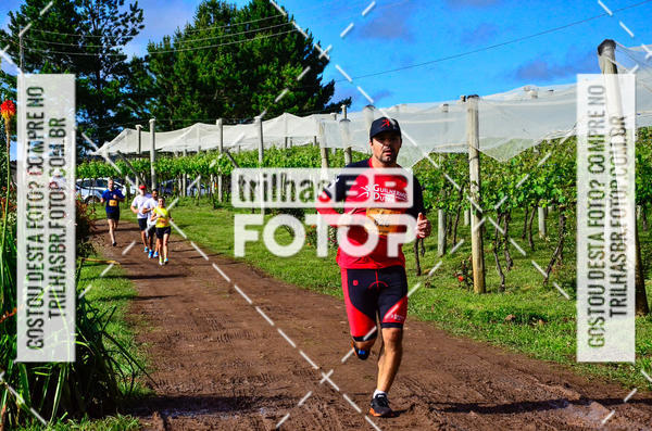 Buy your photos of the eventCIRCUITO DOS VINHEDOS - VINHOS DE ALTITUDE on Fotop