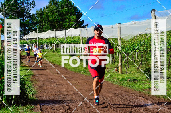Buy your photos of the eventCIRCUITO DOS VINHEDOS - VINHOS DE ALTITUDE on Fotop