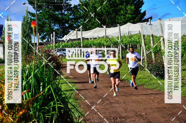 Buy your photos of the eventCIRCUITO DOS VINHEDOS - VINHOS DE ALTITUDE on Fotop