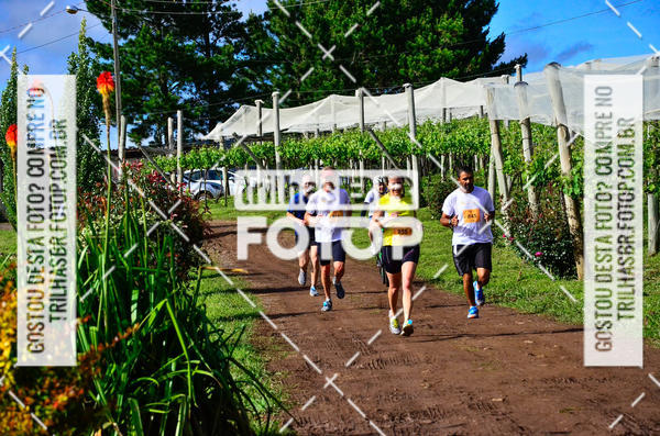 Buy your photos of the eventCIRCUITO DOS VINHEDOS - VINHOS DE ALTITUDE on Fotop