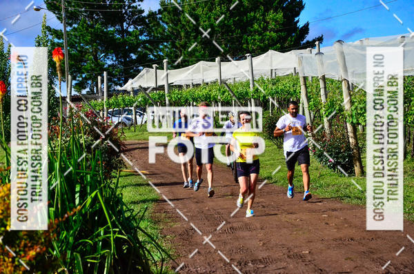 Buy your photos of the eventCIRCUITO DOS VINHEDOS - VINHOS DE ALTITUDE on Fotop