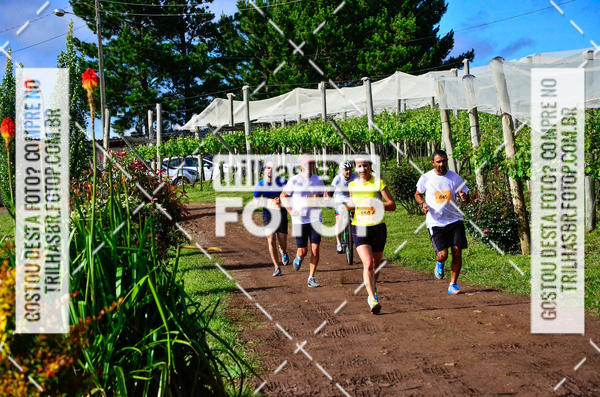 Buy your photos of the eventCIRCUITO DOS VINHEDOS - VINHOS DE ALTITUDE on Fotop