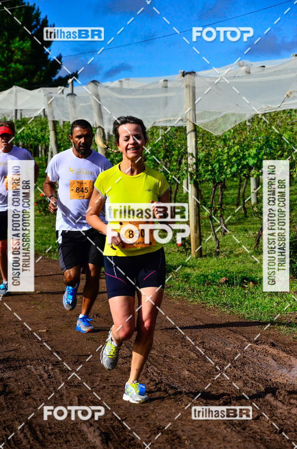 Buy your photos of the eventCIRCUITO DOS VINHEDOS - VINHOS DE ALTITUDE on Fotop