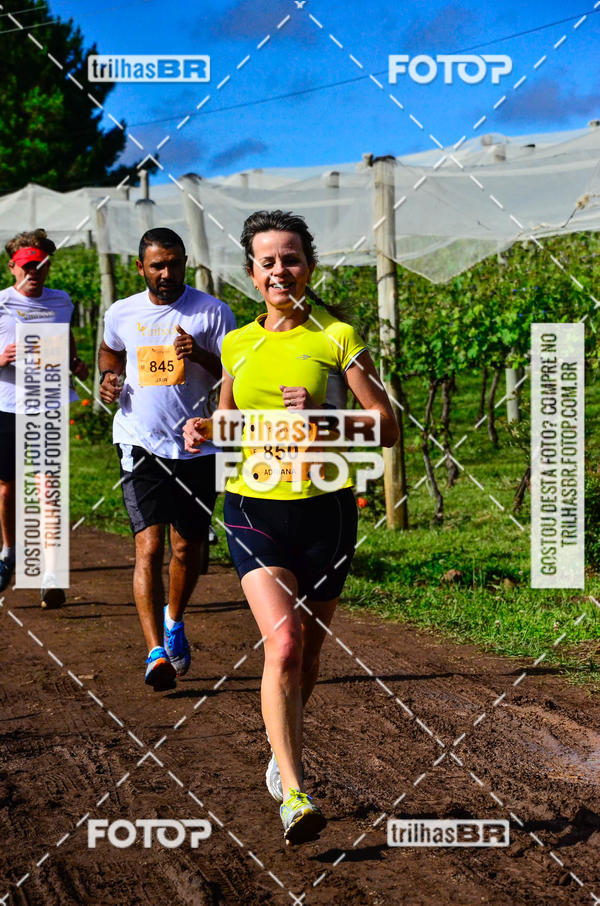 Buy your photos of the eventCIRCUITO DOS VINHEDOS - VINHOS DE ALTITUDE on Fotop