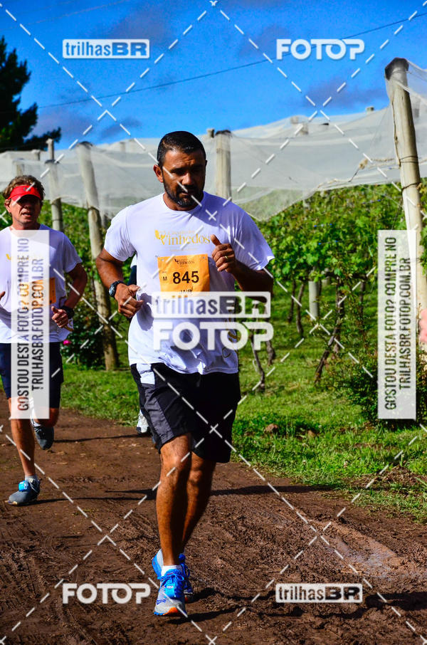 Buy your photos of the eventCIRCUITO DOS VINHEDOS - VINHOS DE ALTITUDE on Fotop