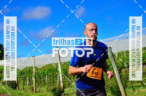 Buy your photos of the eventCIRCUITO DOS VINHEDOS - VINHOS DE ALTITUDE on Fotop