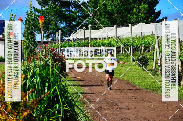 Buy your photos of the eventCIRCUITO DOS VINHEDOS - VINHOS DE ALTITUDE on Fotop