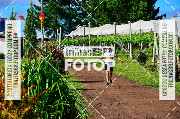 Buy your photos of the eventCIRCUITO DOS VINHEDOS - VINHOS DE ALTITUDE on Fotop