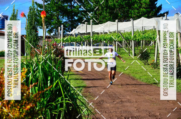 Buy your photos of the eventCIRCUITO DOS VINHEDOS - VINHOS DE ALTITUDE on Fotop
