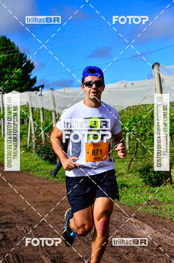 Buy your photos of the eventCIRCUITO DOS VINHEDOS - VINHOS DE ALTITUDE on Fotop
