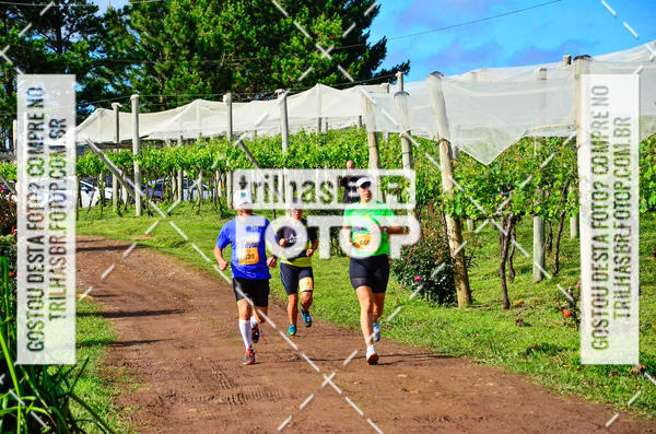 Buy your photos of the eventCIRCUITO DOS VINHEDOS - VINHOS DE ALTITUDE on Fotop