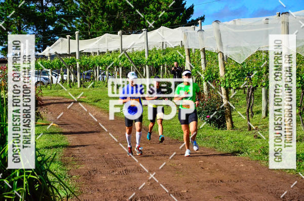 Buy your photos of the eventCIRCUITO DOS VINHEDOS - VINHOS DE ALTITUDE on Fotop