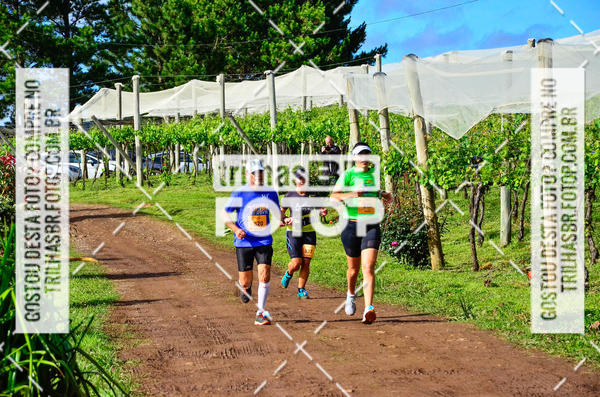 Buy your photos of the eventCIRCUITO DOS VINHEDOS - VINHOS DE ALTITUDE on Fotop