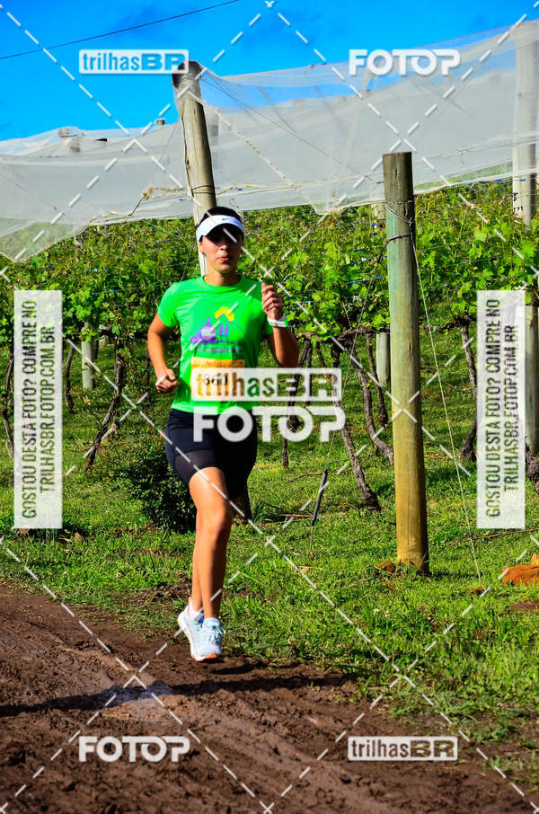 Buy your photos of the eventCIRCUITO DOS VINHEDOS - VINHOS DE ALTITUDE on Fotop