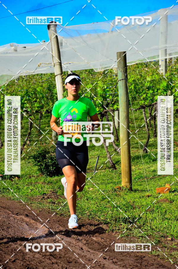Buy your photos of the eventCIRCUITO DOS VINHEDOS - VINHOS DE ALTITUDE on Fotop