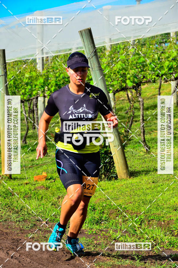 Buy your photos of the eventCIRCUITO DOS VINHEDOS - VINHOS DE ALTITUDE on Fotop