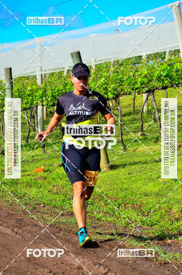 Buy your photos of the eventCIRCUITO DOS VINHEDOS - VINHOS DE ALTITUDE on Fotop