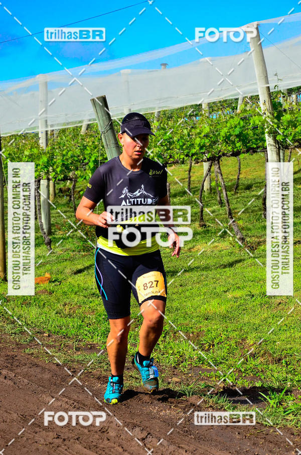 Buy your photos of the eventCIRCUITO DOS VINHEDOS - VINHOS DE ALTITUDE on Fotop