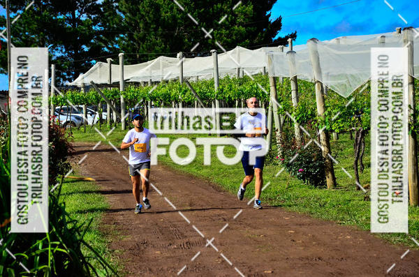 Buy your photos of the eventCIRCUITO DOS VINHEDOS - VINHOS DE ALTITUDE on Fotop