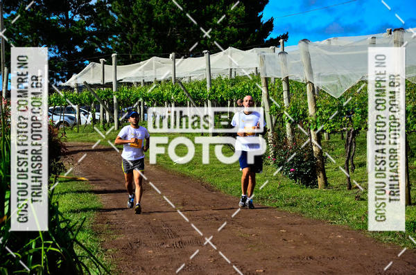 Buy your photos of the eventCIRCUITO DOS VINHEDOS - VINHOS DE ALTITUDE on Fotop