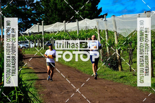 Buy your photos of the eventCIRCUITO DOS VINHEDOS - VINHOS DE ALTITUDE on Fotop