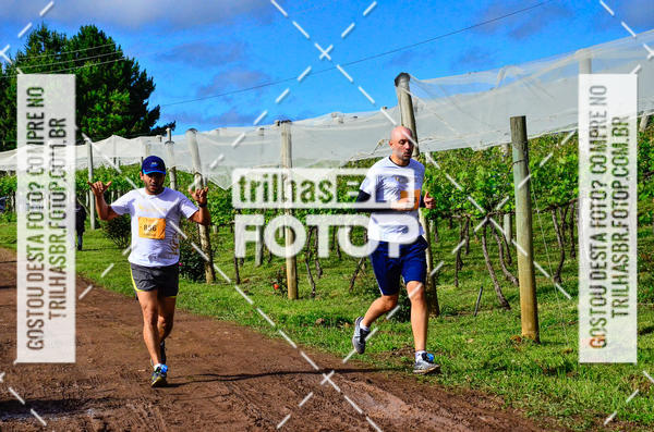 Buy your photos of the eventCIRCUITO DOS VINHEDOS - VINHOS DE ALTITUDE on Fotop