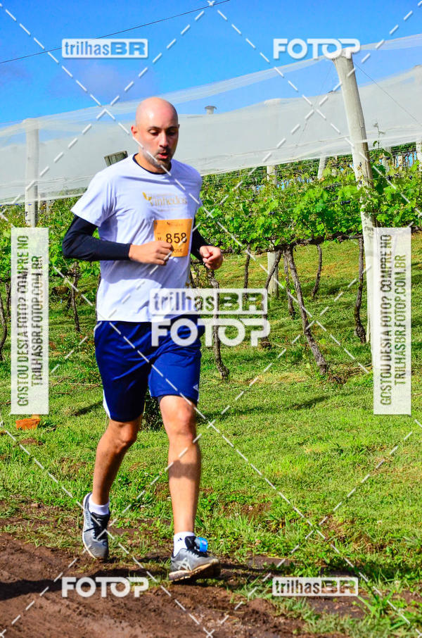 Buy your photos of the eventCIRCUITO DOS VINHEDOS - VINHOS DE ALTITUDE on Fotop