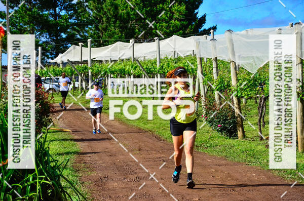 Buy your photos of the eventCIRCUITO DOS VINHEDOS - VINHOS DE ALTITUDE on Fotop