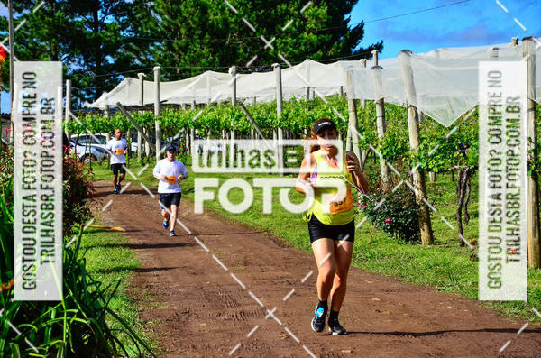 Buy your photos of the eventCIRCUITO DOS VINHEDOS - VINHOS DE ALTITUDE on Fotop