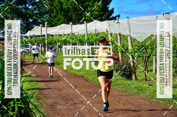Buy your photos of the eventCIRCUITO DOS VINHEDOS - VINHOS DE ALTITUDE on Fotop