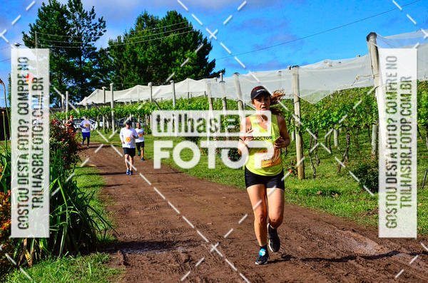 Buy your photos of the eventCIRCUITO DOS VINHEDOS - VINHOS DE ALTITUDE on Fotop