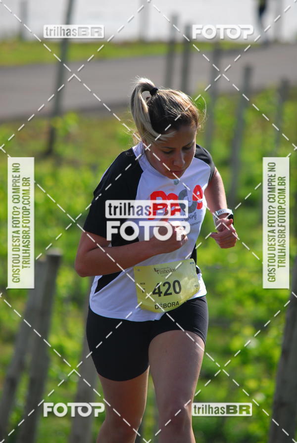 Buy your photos of the eventCIRCUITO DOS VINHEDOS - VINHOS DE ALTITUDE on Fotop