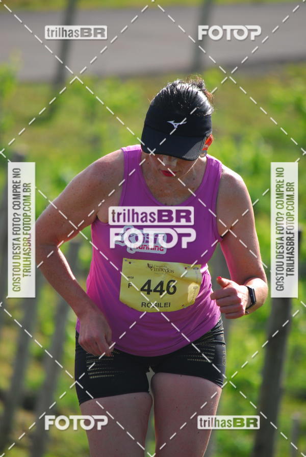 Buy your photos of the eventCIRCUITO DOS VINHEDOS - VINHOS DE ALTITUDE on Fotop