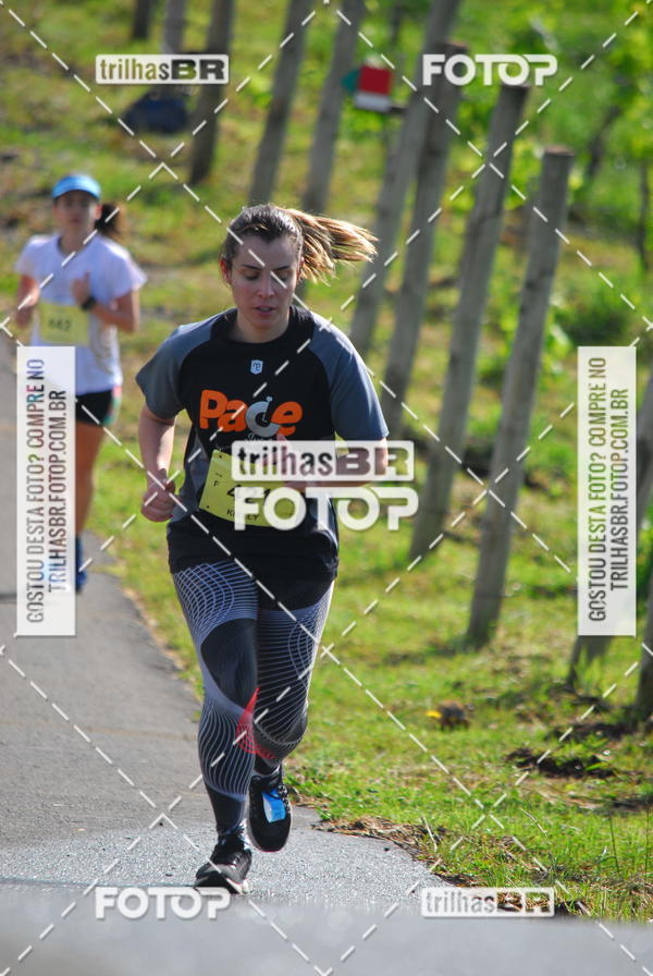 Buy your photos of the eventCIRCUITO DOS VINHEDOS - VINHOS DE ALTITUDE on Fotop