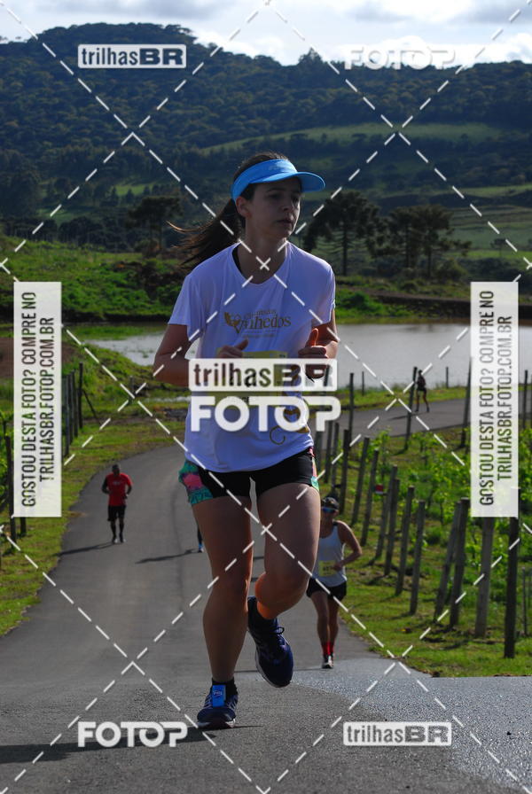 Buy your photos of the eventCIRCUITO DOS VINHEDOS - VINHOS DE ALTITUDE on Fotop