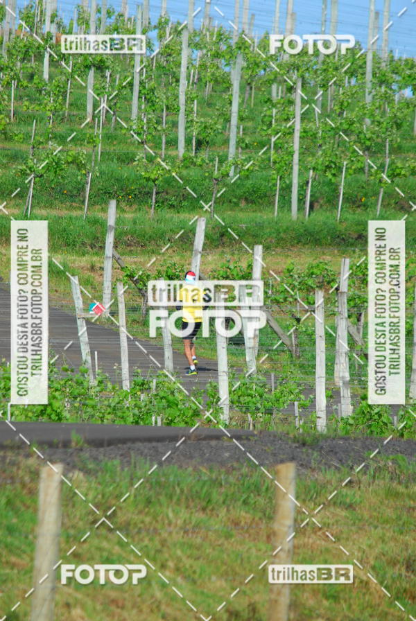 Buy your photos of the eventCIRCUITO DOS VINHEDOS - VINHOS DE ALTITUDE on Fotop