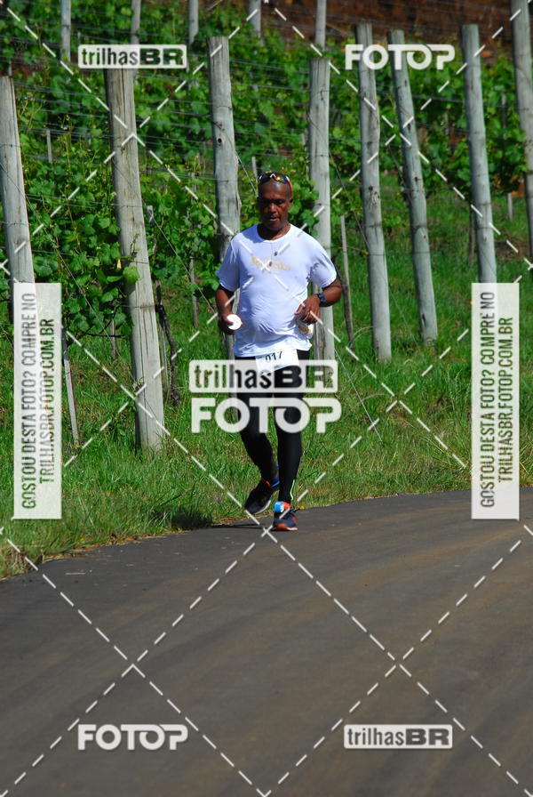 Buy your photos of the eventCIRCUITO DOS VINHEDOS - VINHOS DE ALTITUDE on Fotop