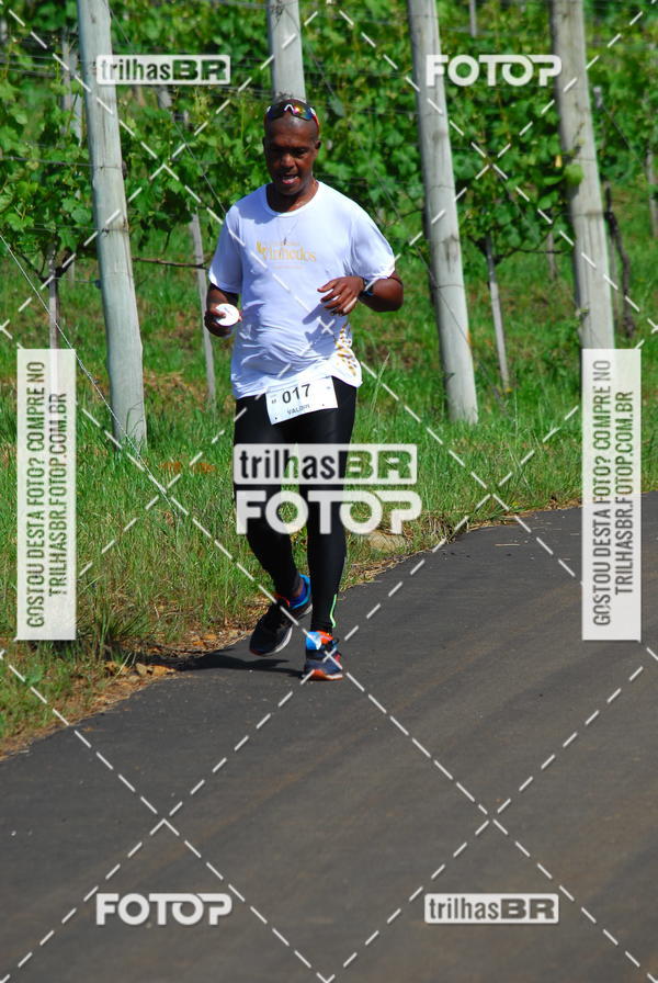 Buy your photos of the eventCIRCUITO DOS VINHEDOS - VINHOS DE ALTITUDE on Fotop