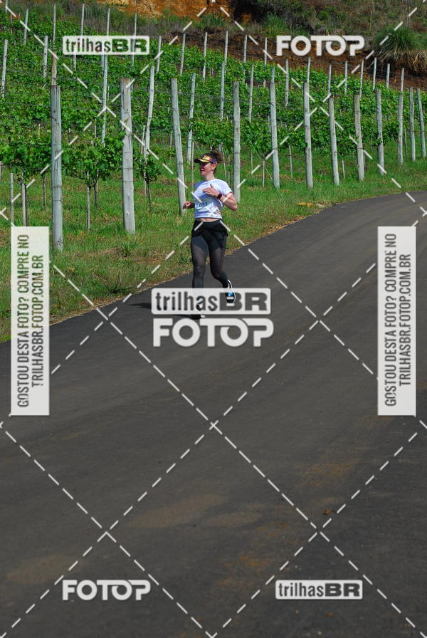 Buy your photos of the eventCIRCUITO DOS VINHEDOS - VINHOS DE ALTITUDE on Fotop