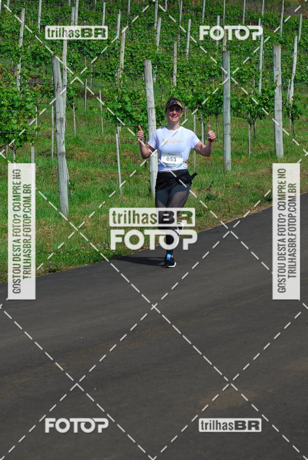 Buy your photos of the eventCIRCUITO DOS VINHEDOS - VINHOS DE ALTITUDE on Fotop