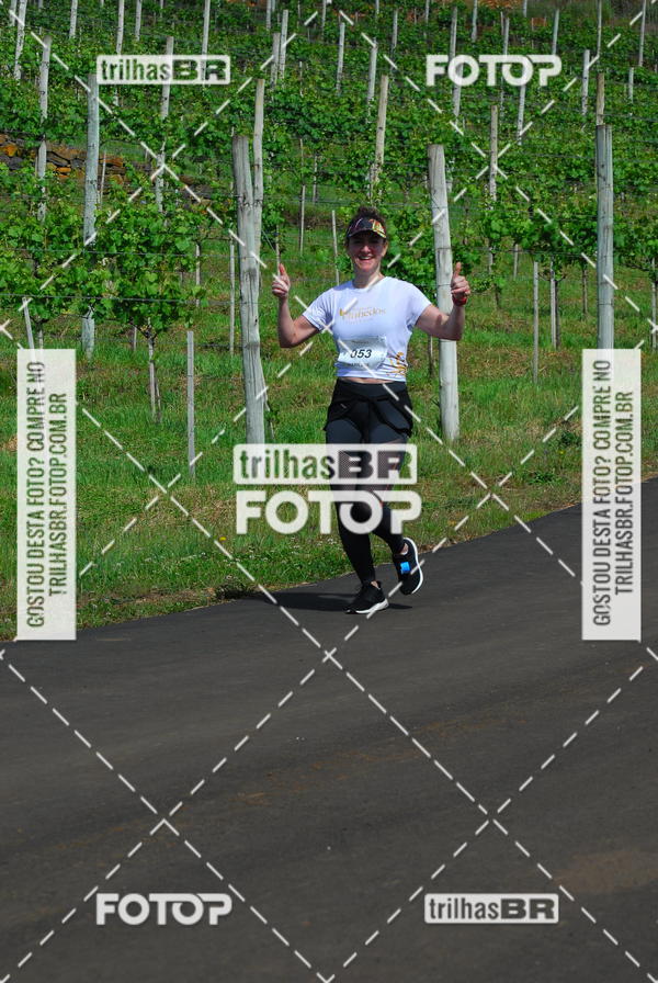 Buy your photos of the eventCIRCUITO DOS VINHEDOS - VINHOS DE ALTITUDE on Fotop